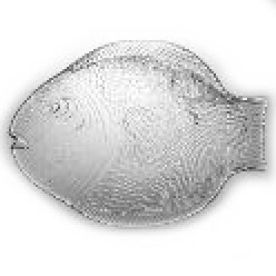 MARINE Прозр Блюдо для рыбы 250*360мм без п/у