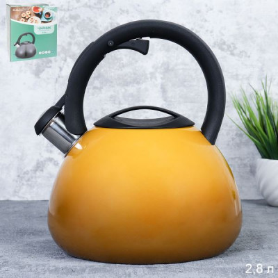 Чайник 2,8л со св индук двухцветный [ГОРЧИЧНЫЙ]