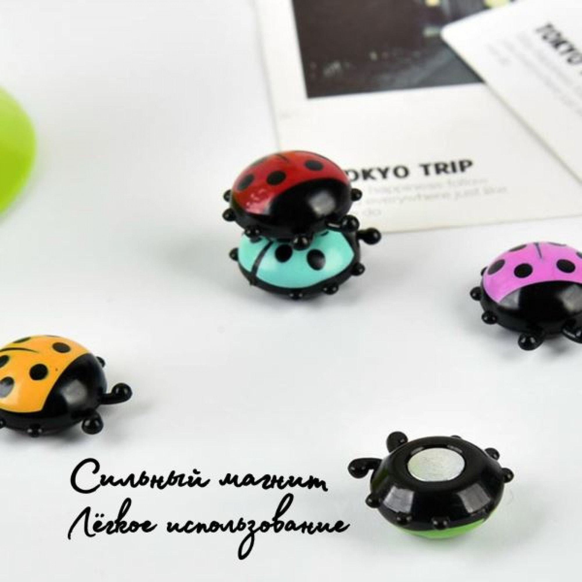 Магнитики Божья коровка(6шт) OZ