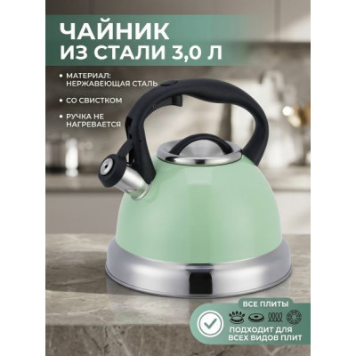Чайник 3,0л из нержавейки с цветным покрытием 3цвета (0,33мм 201SS;0,34мм 430SS) OZ